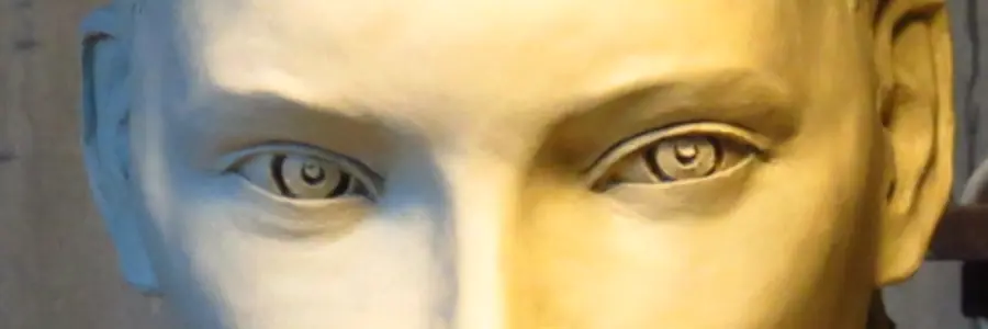 gros plan yeux hestia