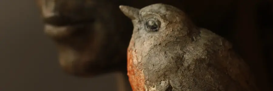 plume gros plan oiseau